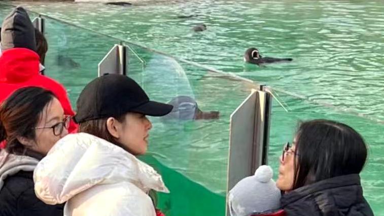 章泽天二胎首度曝光，疑似双胞胎男孩，俩娃穿得一模一样快满周岁