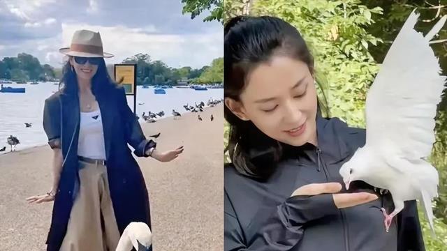 章子怡和森林北又较上劲了，不得不承认汪峰的审美一直是在线的