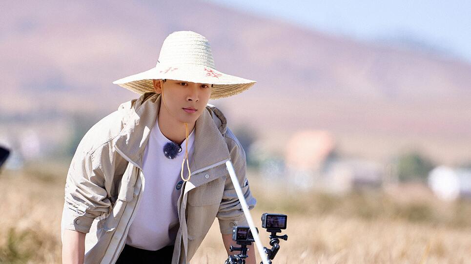 马思纯被逼，那英越俎代庖，陈数李沁太装，让我看到真人秀有多假