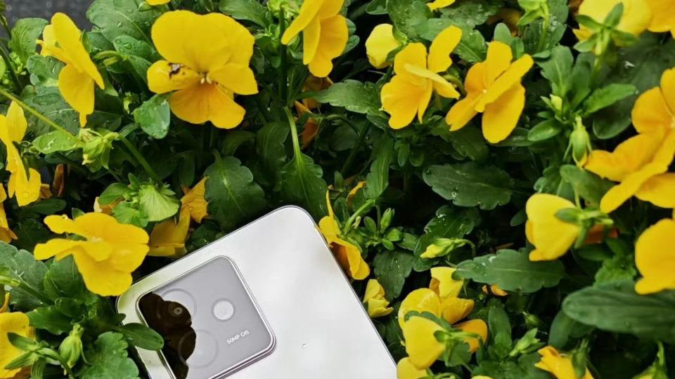 荣耀X60 GT与OPPO K12s：同天上市，选择会纠结吗？