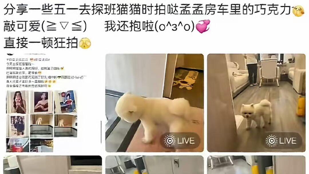 孟子义经纪人道歉，带陌生人进房车，并让陌生人在房车拍照并传播