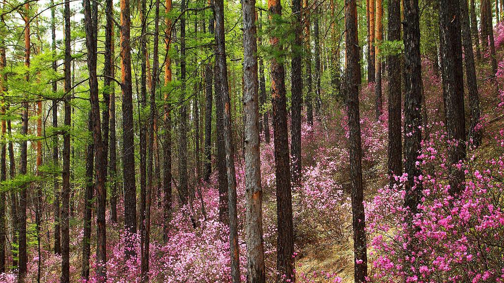 吉星高照五月天，祥云绕福门，四大属相，贵人引路财源广进