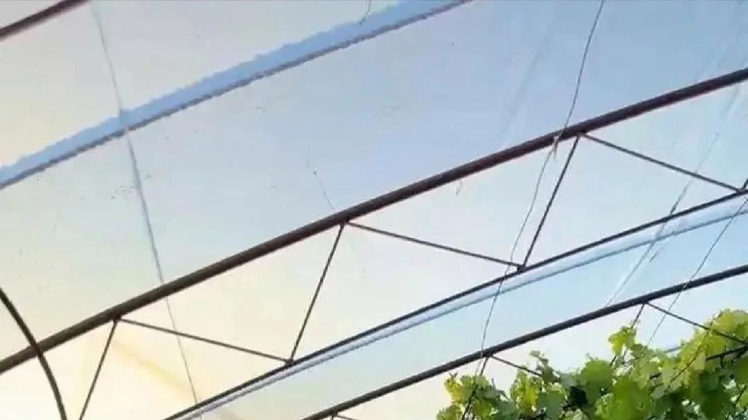 马天宇的院子又火了，仅一菜园、鸡舍就圈粉百万，一看就不是摆拍