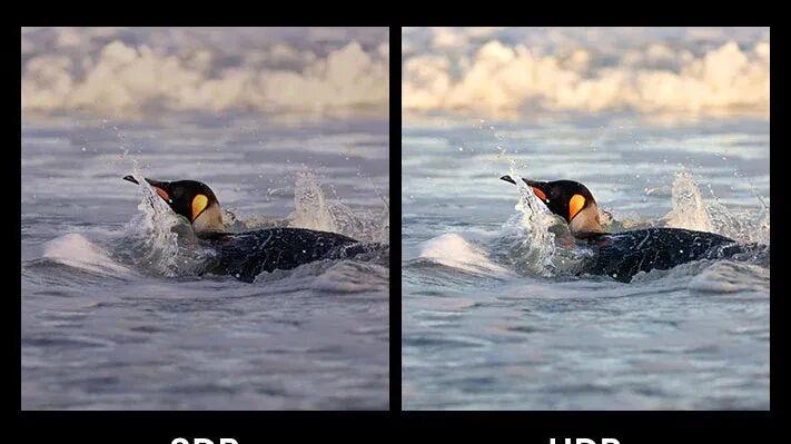 有多少人半夜玩手機(jī)，結(jié)果被HDR照片閃瞎了