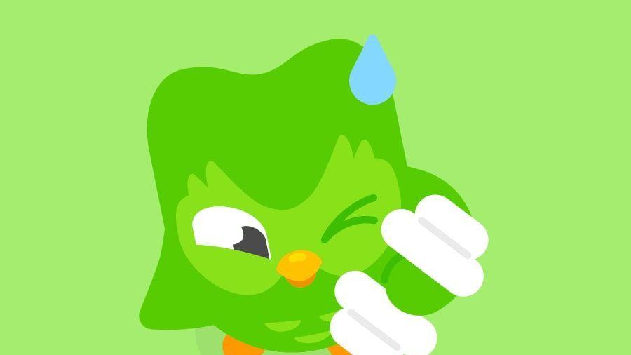 TikTok 禁令“蝴蝶效应”：多邻国如何借力“中文热”？