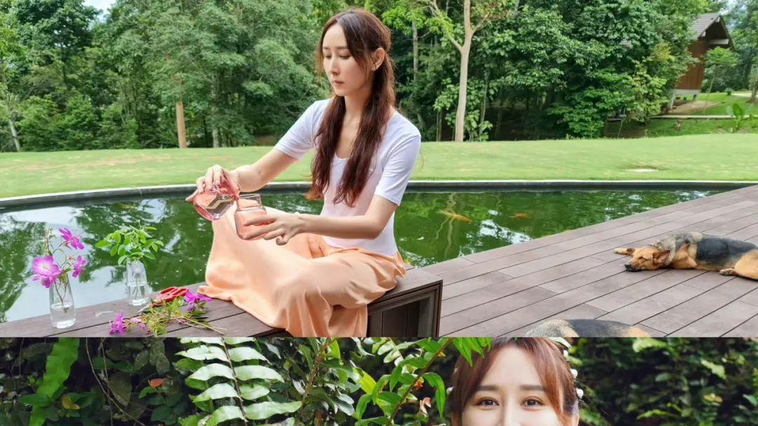 胡静马来西亚后院挖草药被拍！亿万豪宅除了泳池竟藏着这些玩意儿？