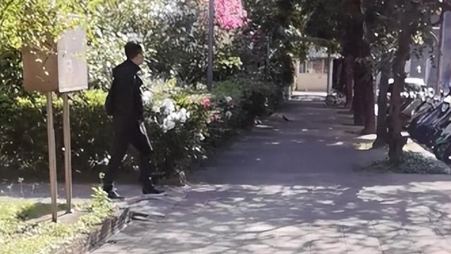 小杨阿姨为大S发声！首公开俩孩子居住环境 ，遛马筱梅的狗好惬意