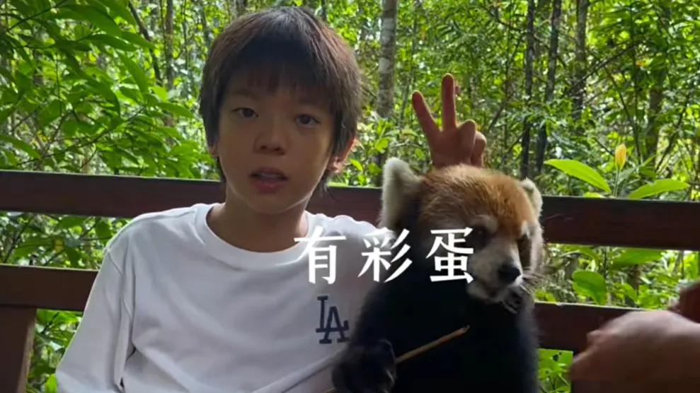 霍思燕否认儿子腺样体面容后，11岁嗯哼终于开始矫正牙齿