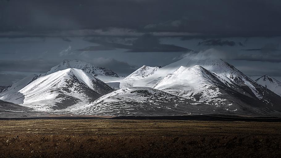 顺势启航，贵人引路添翼，智慧生辉开新局，四大属相机遇全解析！