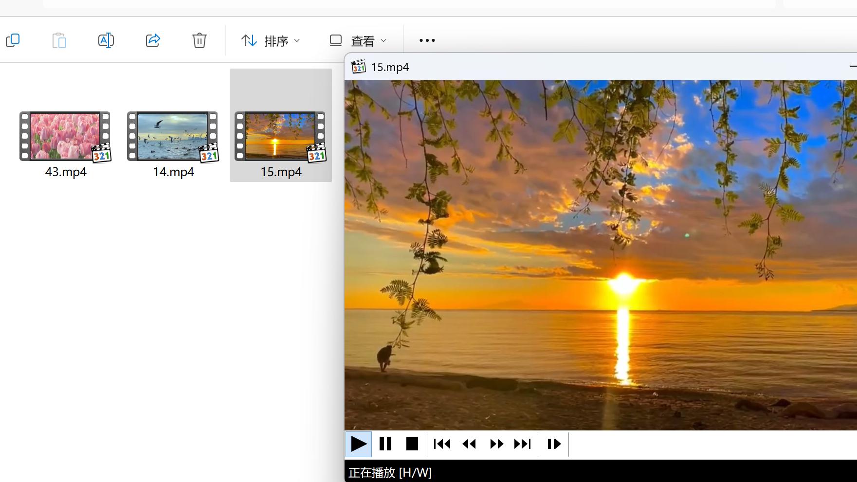 视频编辑新技巧：批量给画面添加垂直镜像播放特效，打造震撼视觉效果
