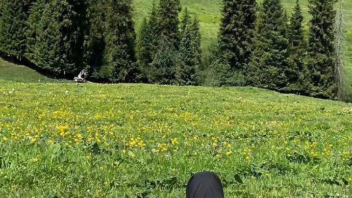 底层发财的最快方式：戒断多巴胺