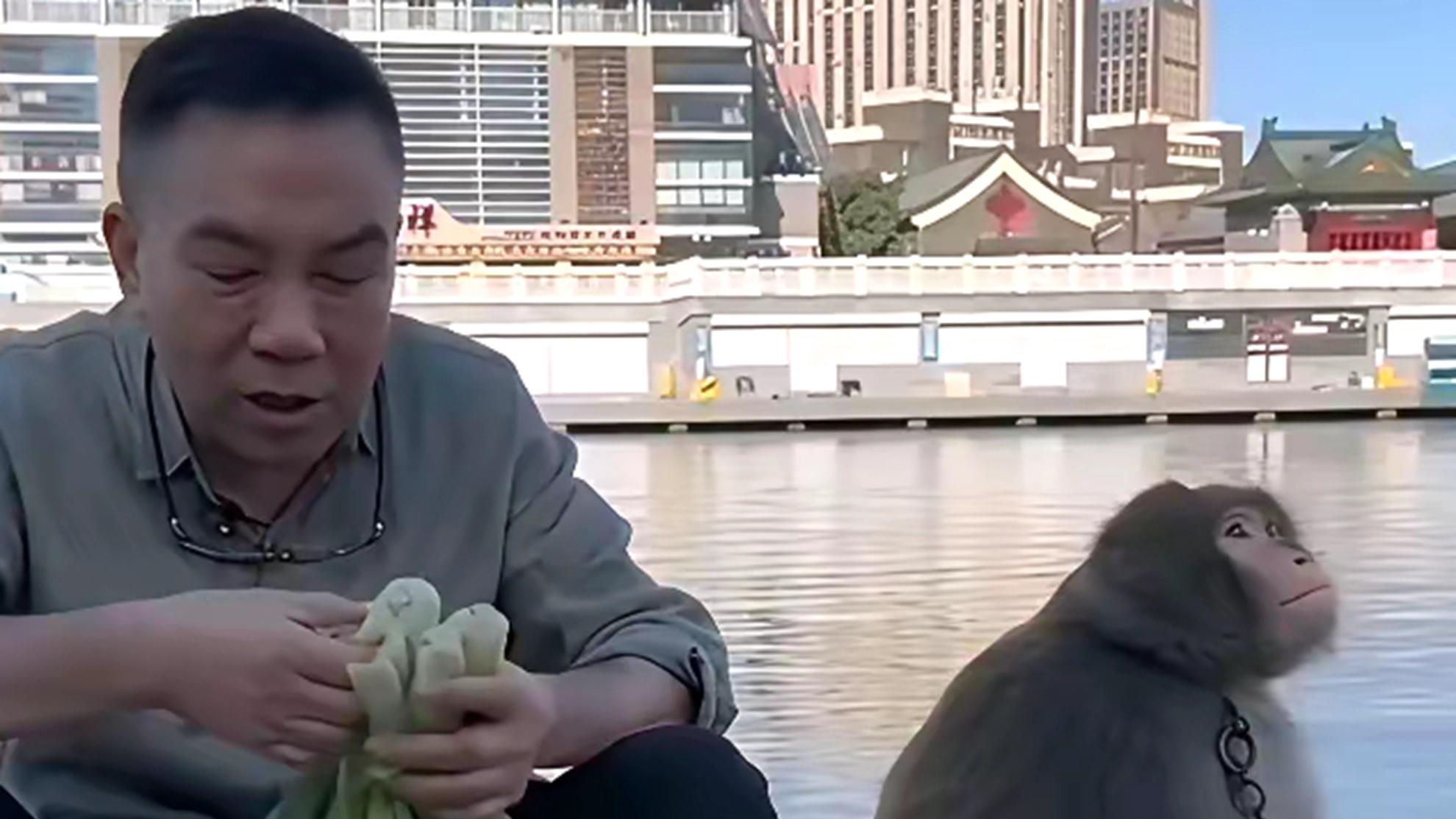 杨议拜师风波：精心包装闹剧，是否在消费观众热情？