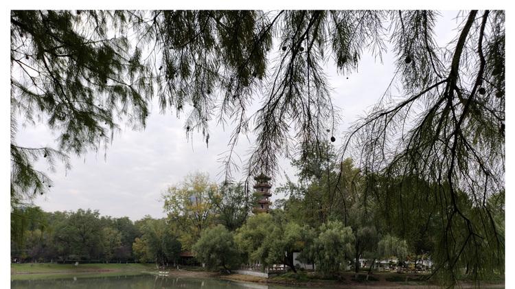 Reno15首測：“時尚手機”怎么造？OPPO打了個樣