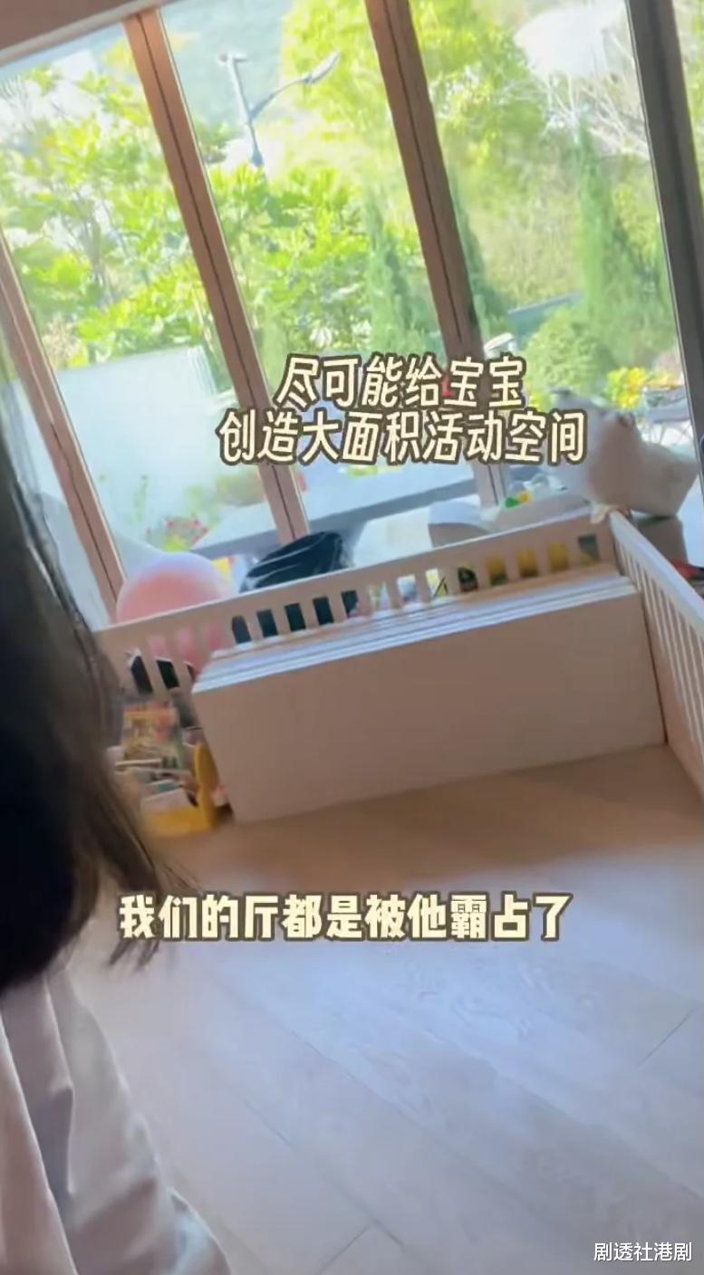 TVB当家小生过千万豪宅曝光！花园面积广阔，为儿子设置专属秋千