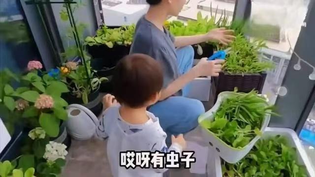 苗苗三胎女儿首曝光，郑恺一家五口温馨生活引热议