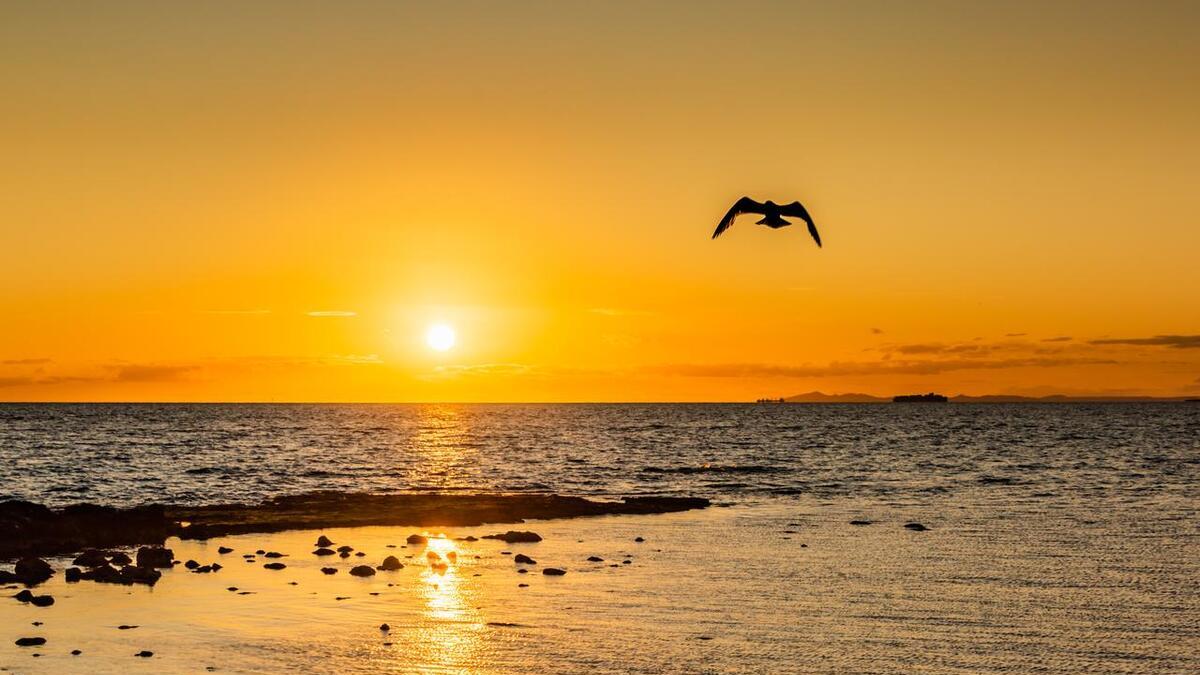 大S突然离世，让我明白一个真相