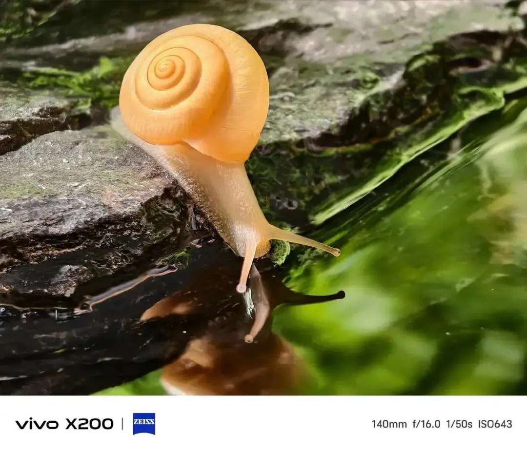 后悔买早了，vivo X200首降大优惠，现在入手超划算