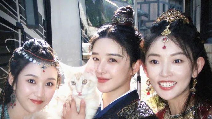 阚清子怀孕了！娱乐圈对不红的女艺人拒绝的很彻底