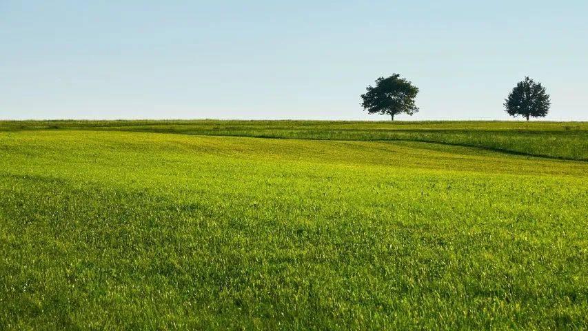 家电市场和消费今年正面临被大量透支