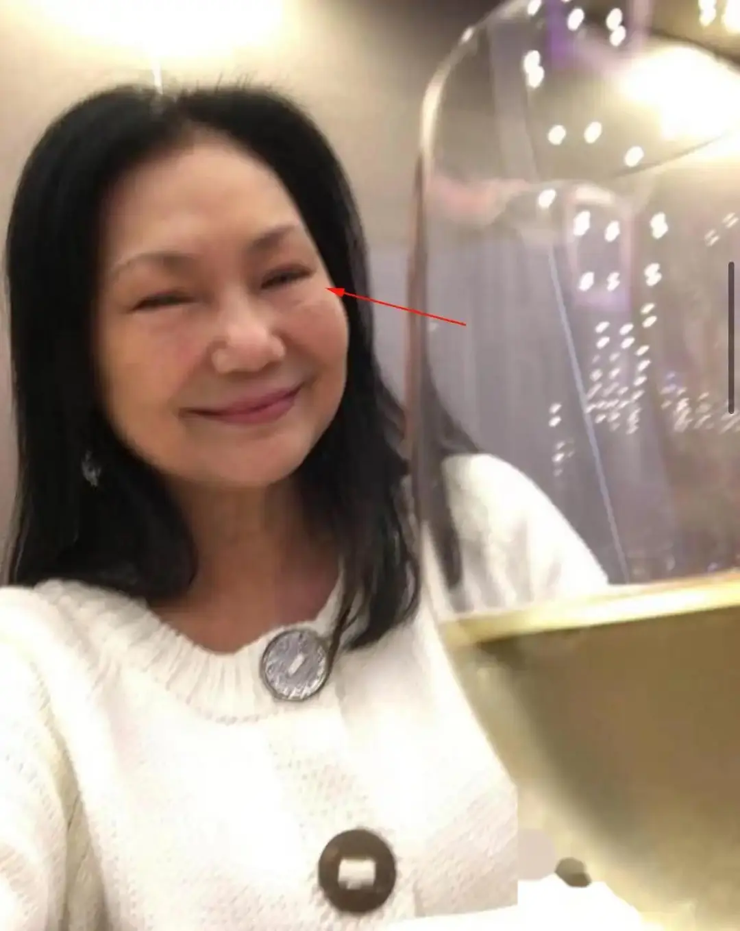 S妈再惹争议！新头像被扒是日本箱根所拍，大S重病她却逛美术馆！