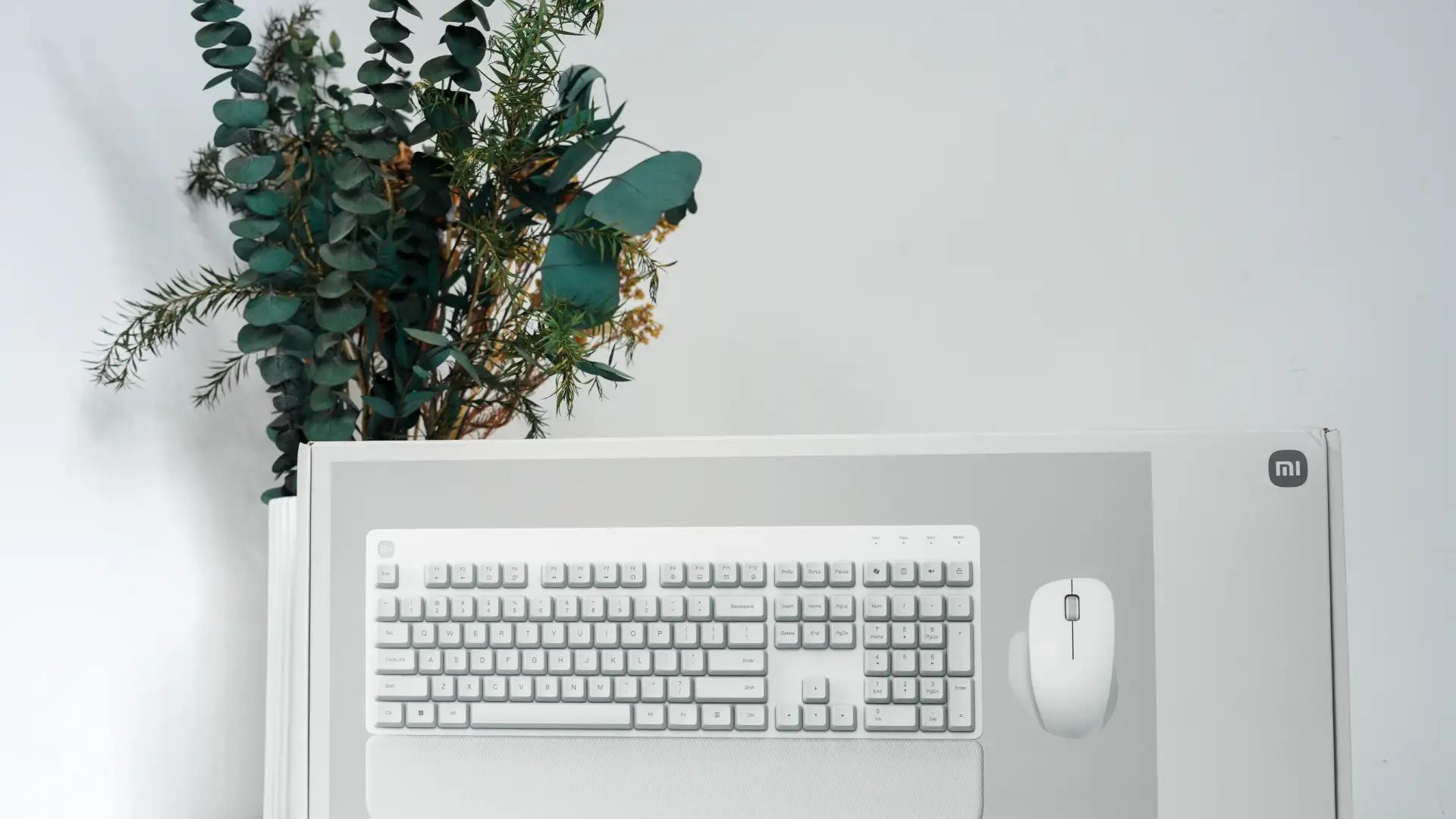 工作室焕新！这套小米键鼠让我的创作时光舒适度飙升??