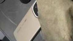 巨型舷窗，iQOO 15外观爆料 | A19系列、天玑9500跑分出炉