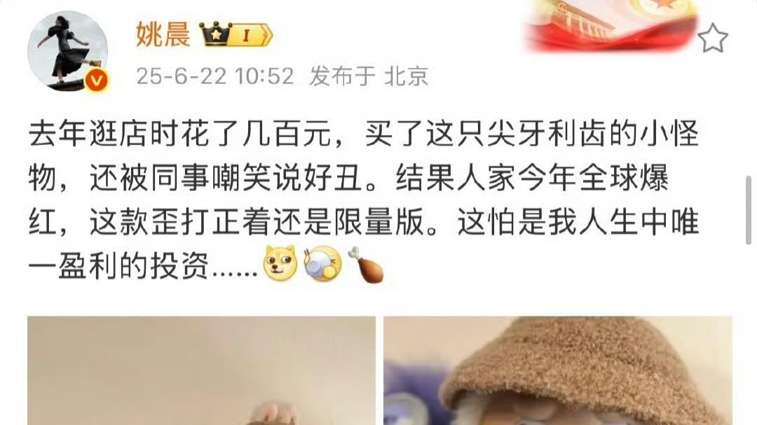 姚晨的“人生唯一盈利投资”？Labubu了解一下