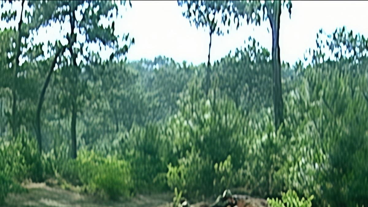 《士兵突击》的那些军事穿帮细节，没点军事常识真发现不了