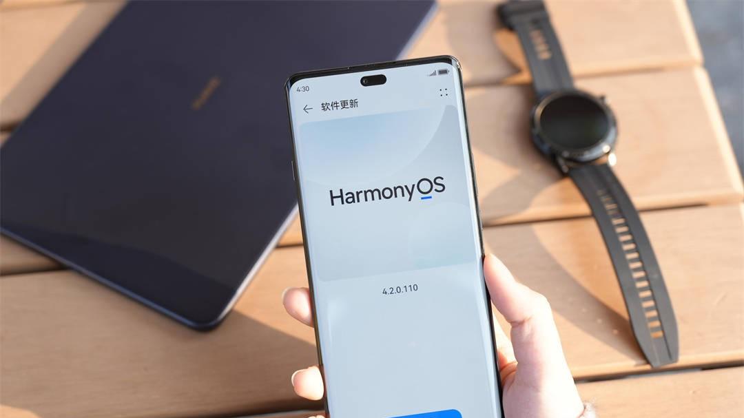 华为“水桶机”，6100mAh+麒麟芯+鸿蒙OS，售价十分亲民！