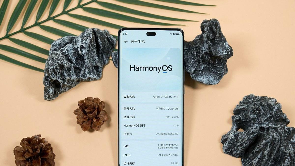 华为618果然“猛”，6100mAh+1.5K大屏+鸿蒙OS，价格更亲民！