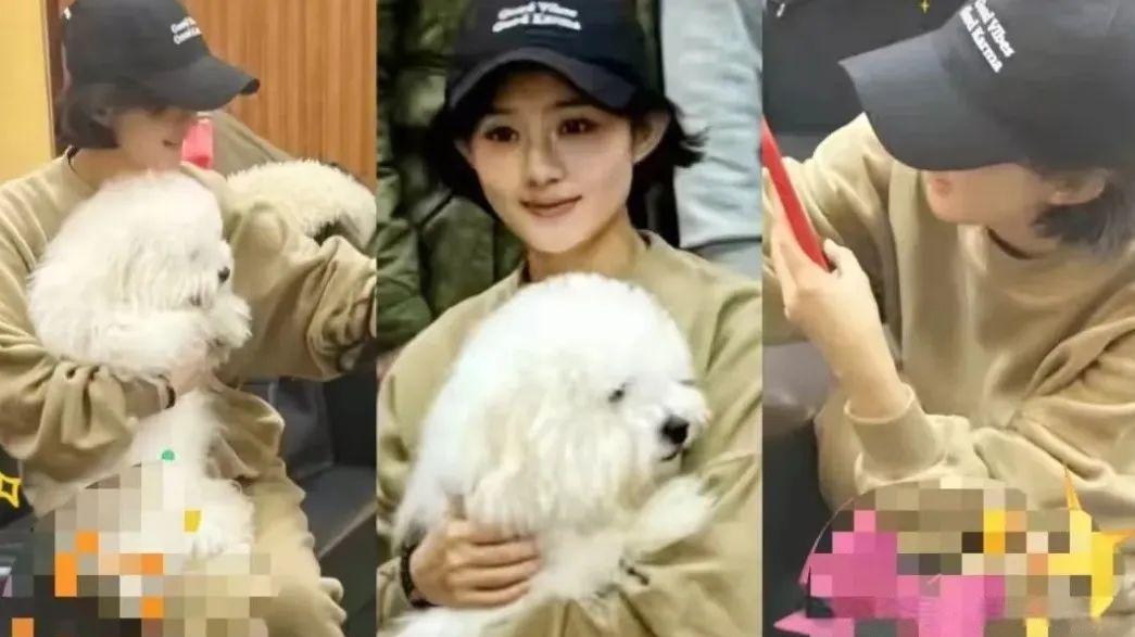 37岁赵丽颖宅家撸狗自拍火了！网友却扒出三大反常细节：这事有点怪？