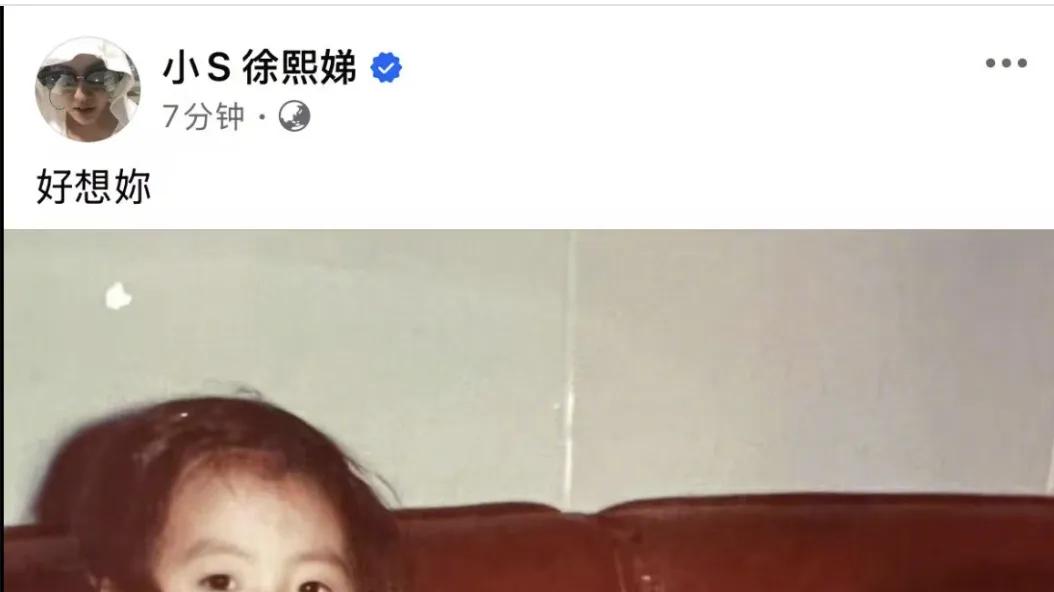 大S去世两周后，小S晒童年照说“想她”，网友评价却出奇一致