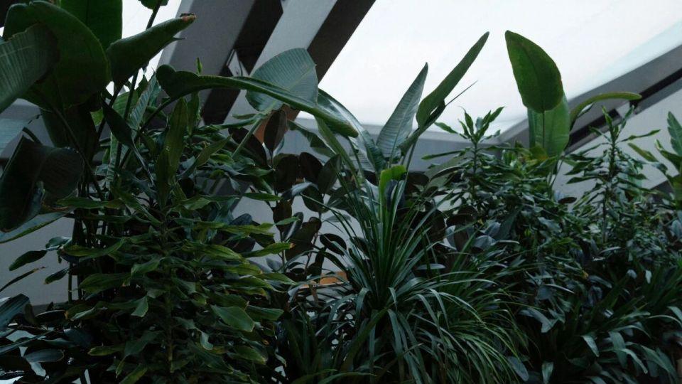 薛凯琪美艳绝伦 长腿高跟