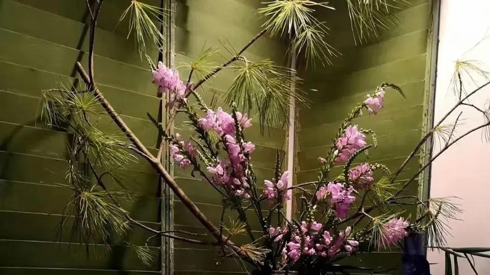 45岁殷桃的独居生活：深山养花种树，冥想打坐，尽享离异单身的清欢。