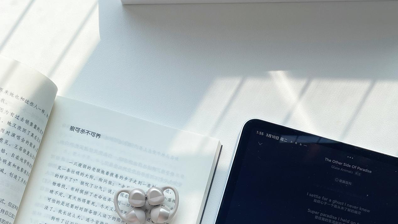 哈趣Ace1：百元價位千元體驗, IP67防護+杜比級聲場的全能耳夾耳機