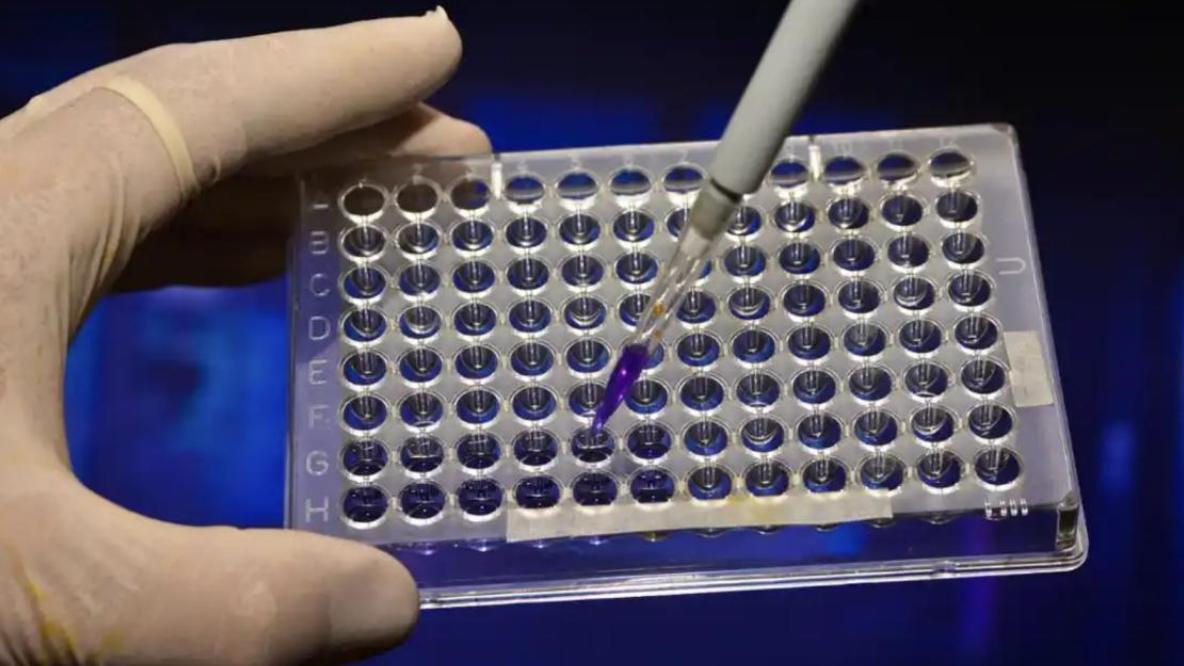 日本欲斷供光刻膠卡死中國芯片？別做夢了，三張王牌足以反制