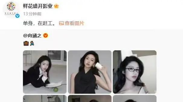 向涵之方官宣单身否认周奇恋情，6字回应态度决绝