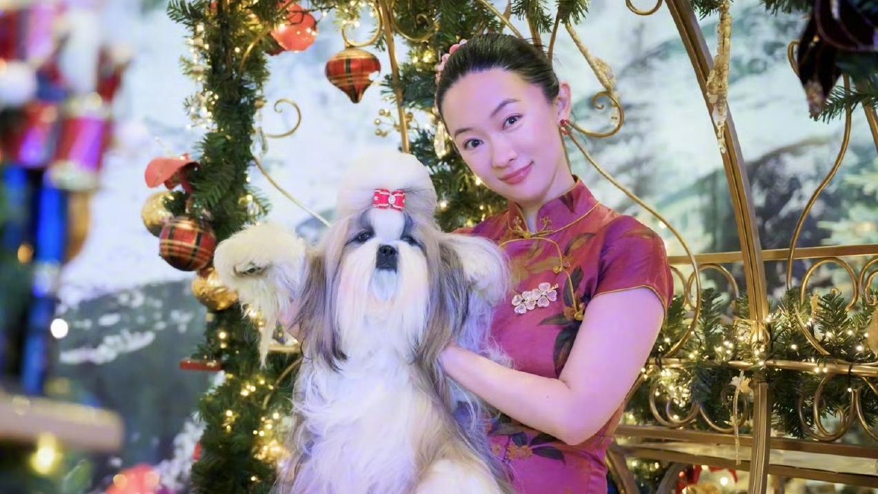 女明星转行当训狗师，还拿下世界冠军，霍思燕这波赢麻了，真高级