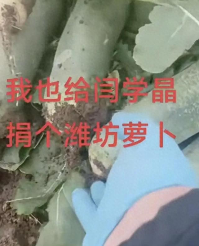 闫学晶哭穷后续：网友开启众筹模式，有捐菜，有捐肉，还有捐钢镚