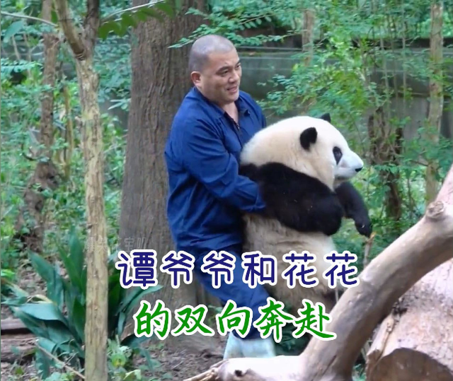 春晚|龙年春晚值得期待的四位明星，越剧演员、列车员和饲养员