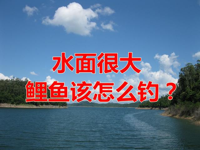 鲤鱼|水面很大鲤鱼怎么钓？多年实战得出两个绝招，新手看懂也能连竿