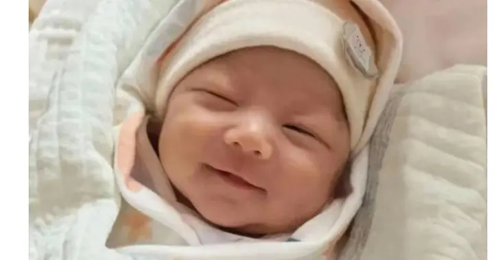 小七宝一出生就成全网团宠！汪家这次真的甜到大家了