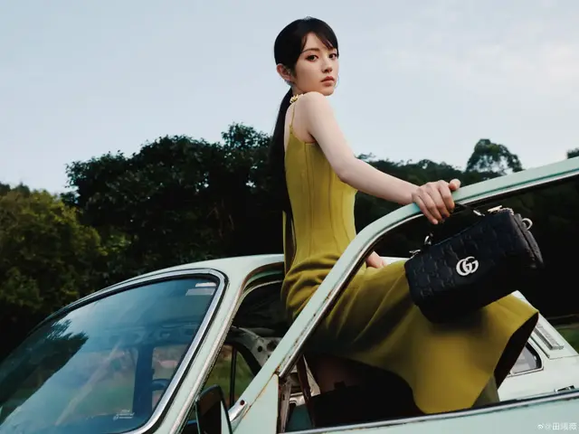 成熟冷艳的田曦薇像是从画里走出来的一样