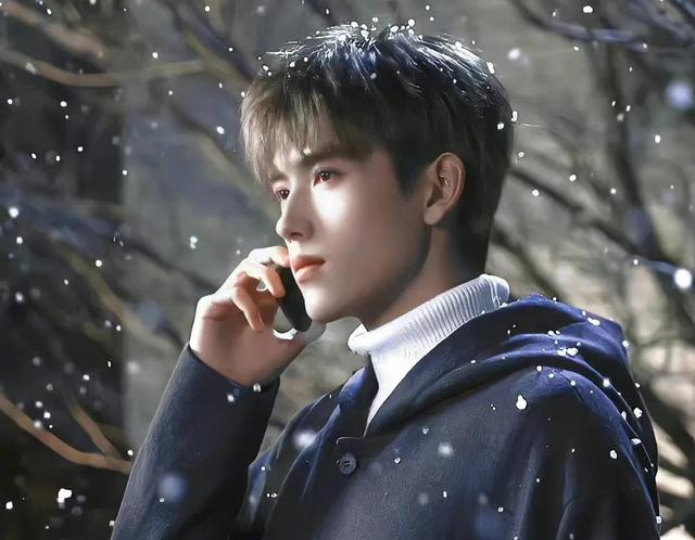 王鹤棣|说说今年四个咖位上升较为明显的男艺人