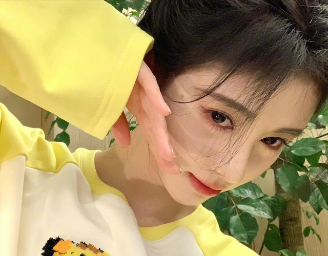 90后|90后四大流量花：“巴紫鞠鹿”，谁是你的菜？