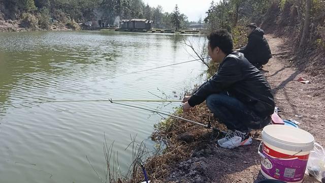 鲫鱼|新老钓手大比拼，技术加成我险胜