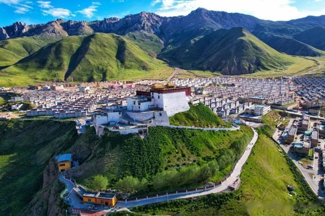 黄花风铃木|西藏与新疆、青海交界有个市，名气不大却隐藏着两个中国之最