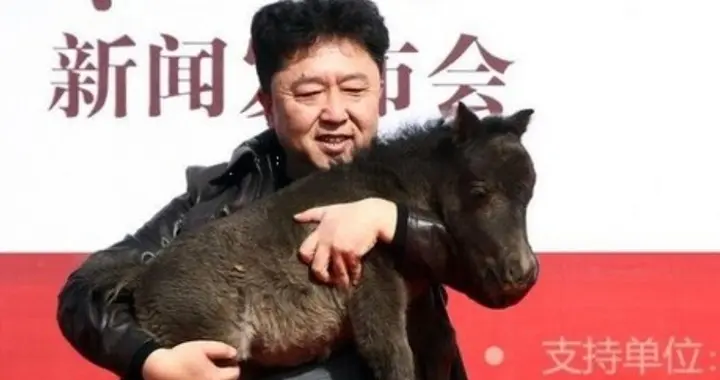 从相声到影视再到带货，于谦的多面人生到底藏着多少惊喜？