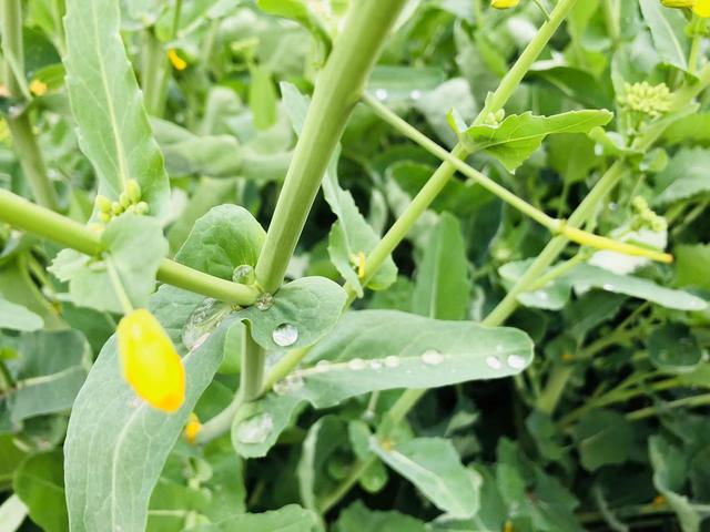 央视财经重点介绍的共享员工模式是什么？跟我们有什么关系