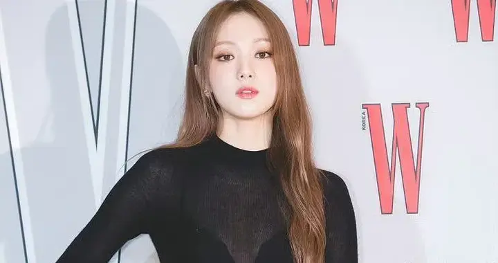 李圣经 W Korea 全黑透视造型 ???